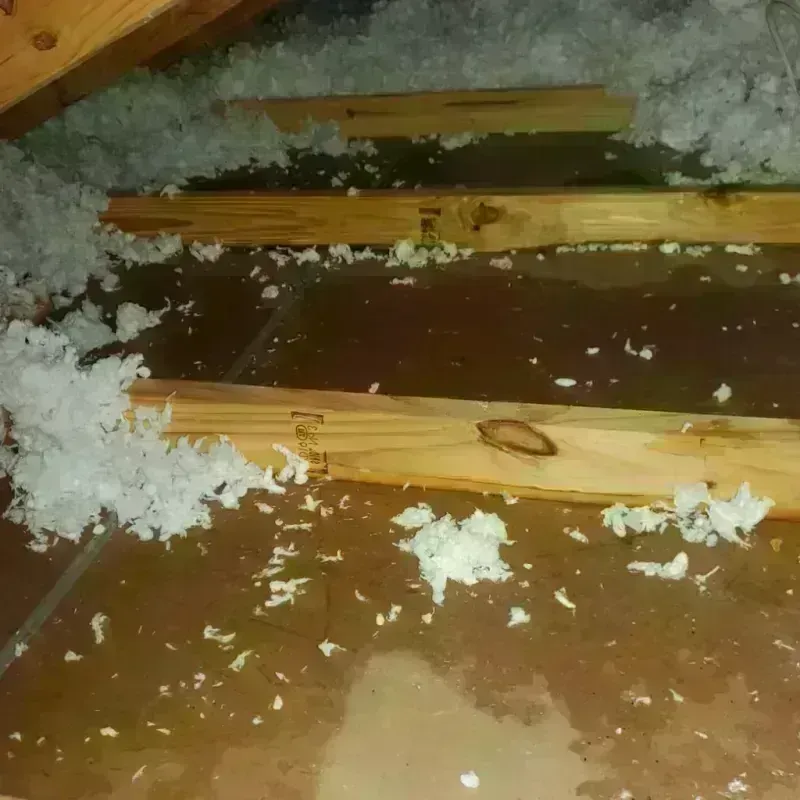 Attic Water Damage in West Haven, UT